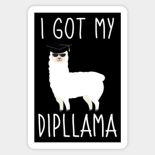 I Got My Dipllama Sticker